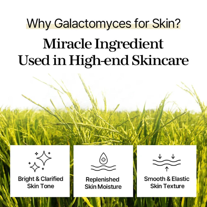 [MIXSOON] Galactomyces Toner Pad 280ml*60ea