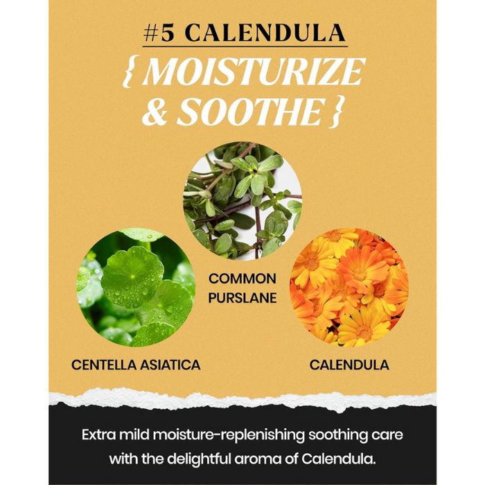 [LINDSAY] Calendula Modeling Mask Cup Pack 28g