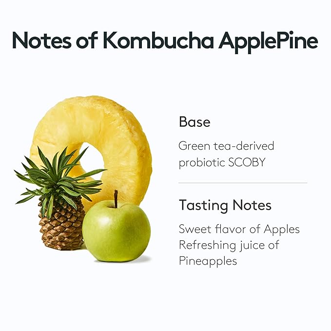 [Osulloc] Kombucha Apple Pine 10pcs