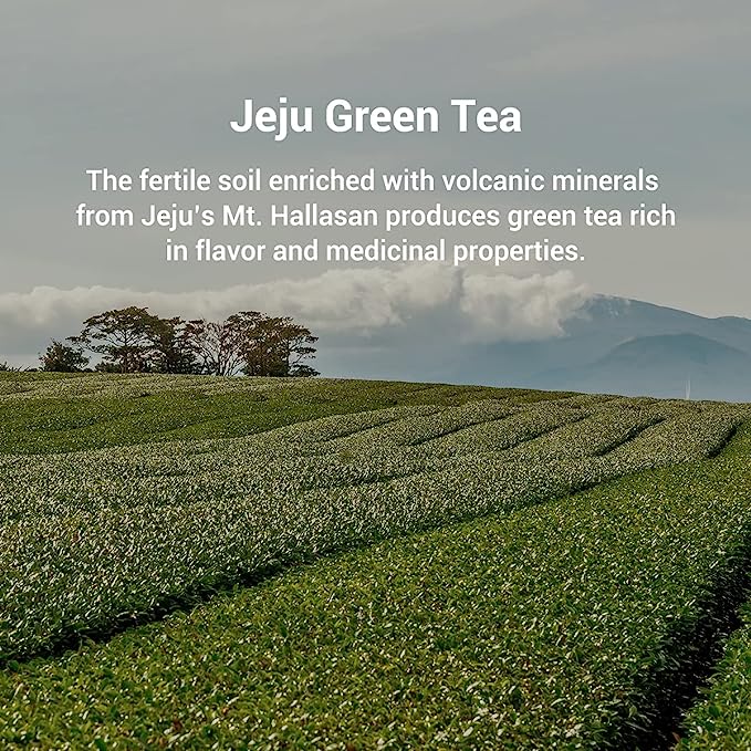 [MOMMAKE] The Vegan Green Shake Powder 1.76lb(800g) Matcha Jeju Green tea Grain Vegetables Nutritional Drink