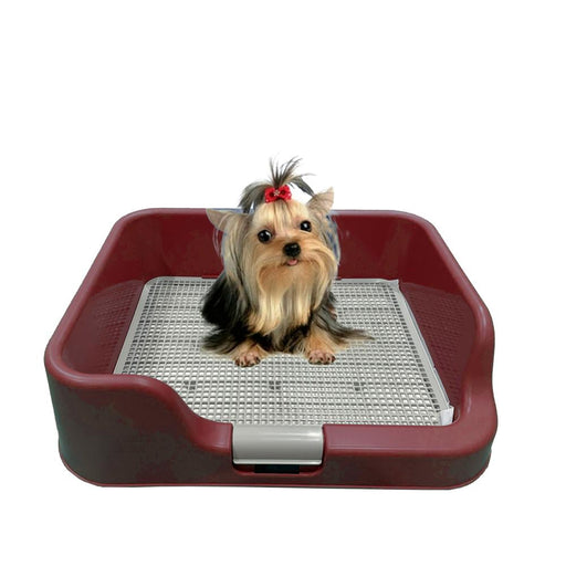 [PETBUMO] Indoor Pet Potty Tray T1 | Pet Products