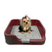 [PETBUMO] Indoor Pet Potty Tray T1 | Pet Products